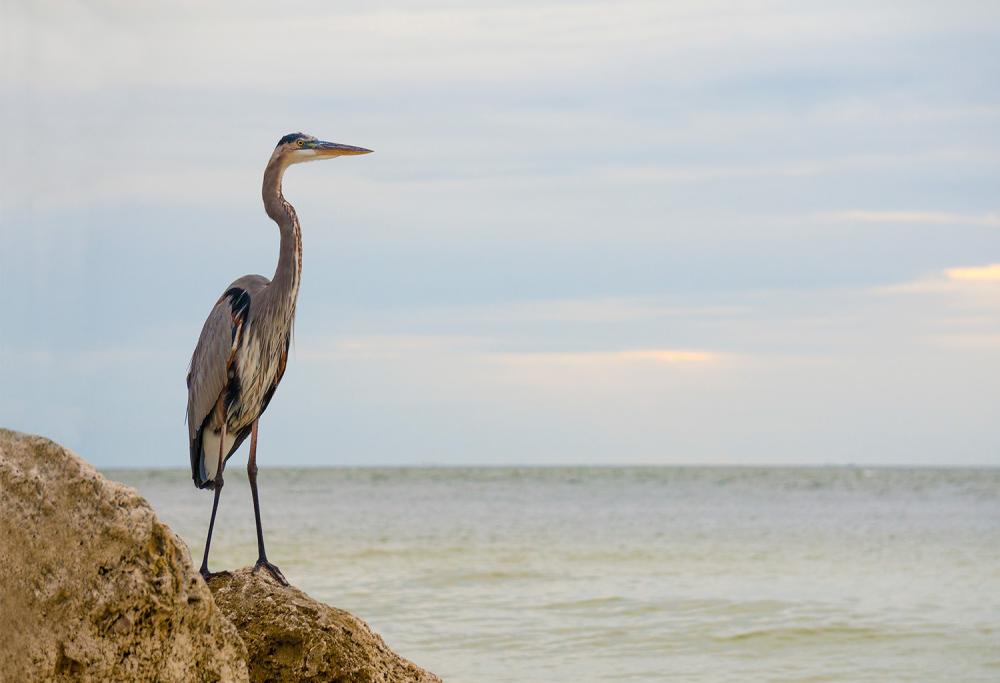 Make Time for Fishing