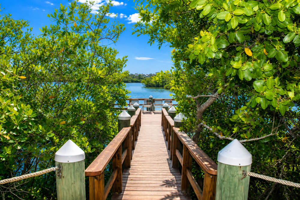 A Waterfront Experience