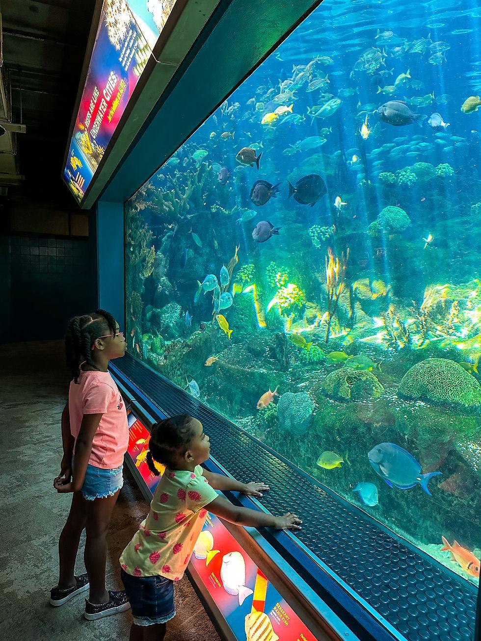 Family-Friendly Attractions