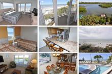 Photos