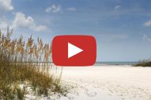 Video Tour